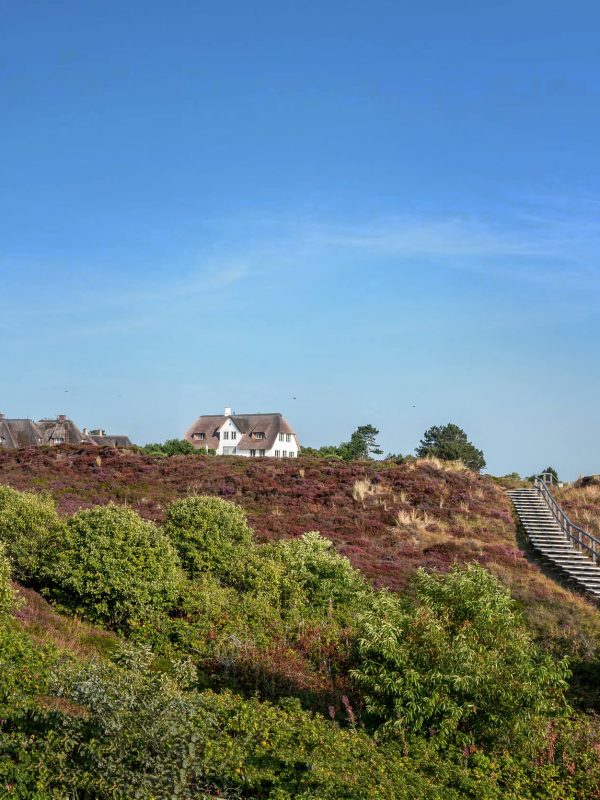 Vorweggenommene Erbfolge und Schenkungen