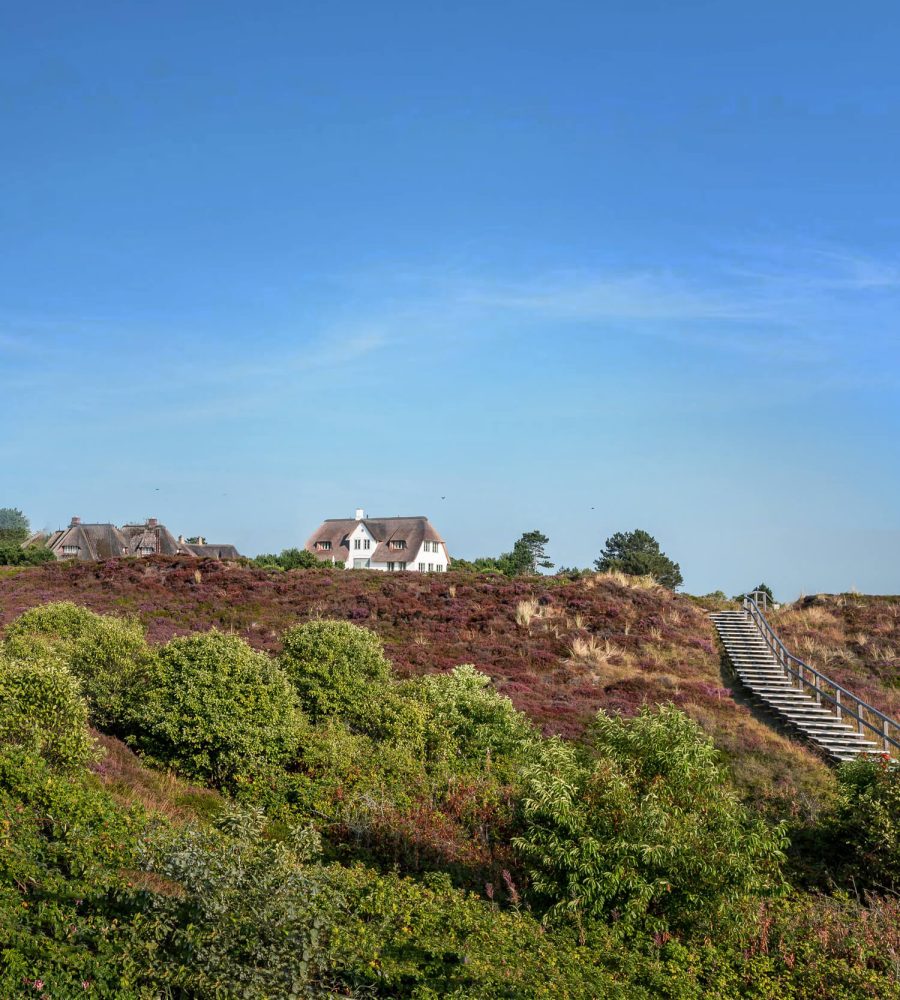 Vorweggenommene Erbfolge und Schenkungen